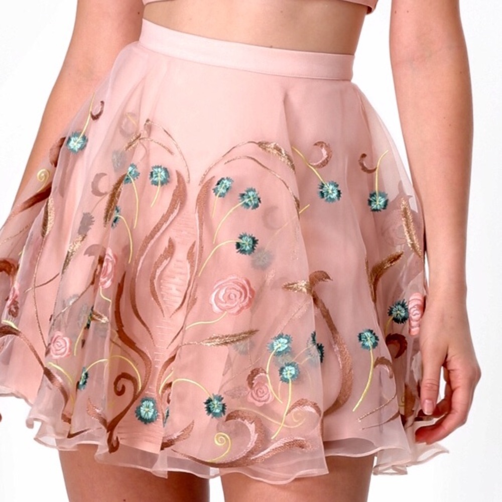 Bebe embroidered skirt size 4